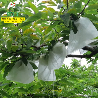 [ 20*25cm ] 100 CÁI TÚI BAO , BỌC CAM,LÊ,NA THÁI,BƠ,..TÚI BAO,BỌC TRÁI CÂY