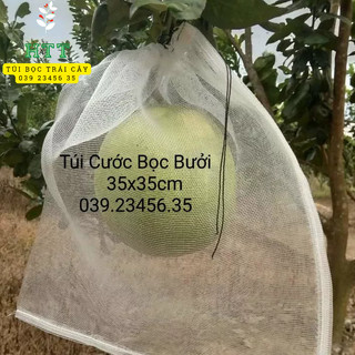 100 túi lưới cước bao bọc trái bưởi, dưa lưới ,..túi bọc trái cây