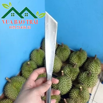 DAO KHUI, NẠY TRÁI SẦU RIÊNG DÀI 25cm INOX NGUYÊN KHỐI CÓ CÁN VUÔNG VÀ CÁN TRÒN
