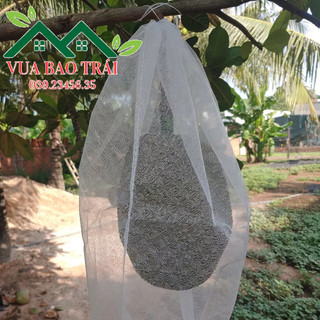 100 cái túi 50*70cm lưới tốt bao bọc trái mít thái chống sâu bệnh hiệu quả