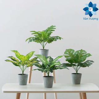 Cây Lá Giả 🌺 Cây Giả 9 Lá Nhiều Mẫu