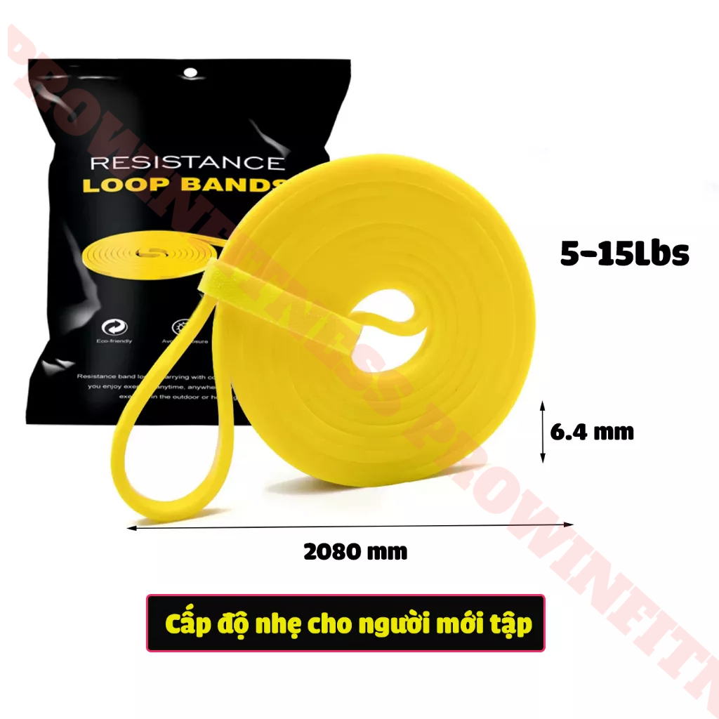 Dây kháng lực Power band Prowin Fitness tập gym, tập tay, chân, toàn thân, đàn hồi trợ lực kéo xà yoga