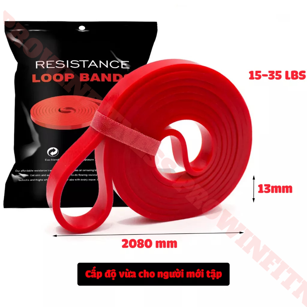 Dây kháng lực Power band Prowin Fitness tập gym, tập tay, chân, toàn thân, đàn hồi trợ lực kéo xà yoga