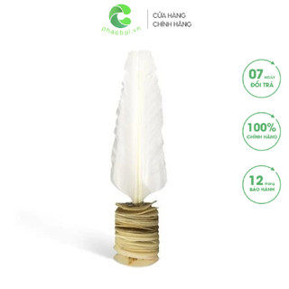 Cầu đá da cá cao cấp thi đấu chuyên nghiệp HD111