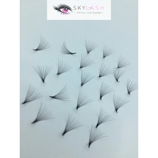 Mi fan 7d độ dày 0.07 độ cong c - cc- d hộp 500fan - dụng cụ nối mi skylash