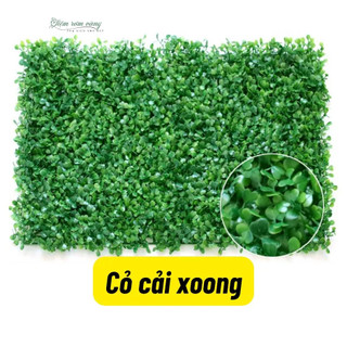 Thảm cỏ treo tường thảm cỏ cải xoong nhựa kích thước 40x60cm treo tường Decor đẹp