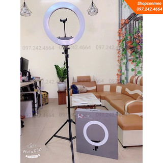 Đèn livestream 45cm - hq18, đèn quay tiktok, đèn spa