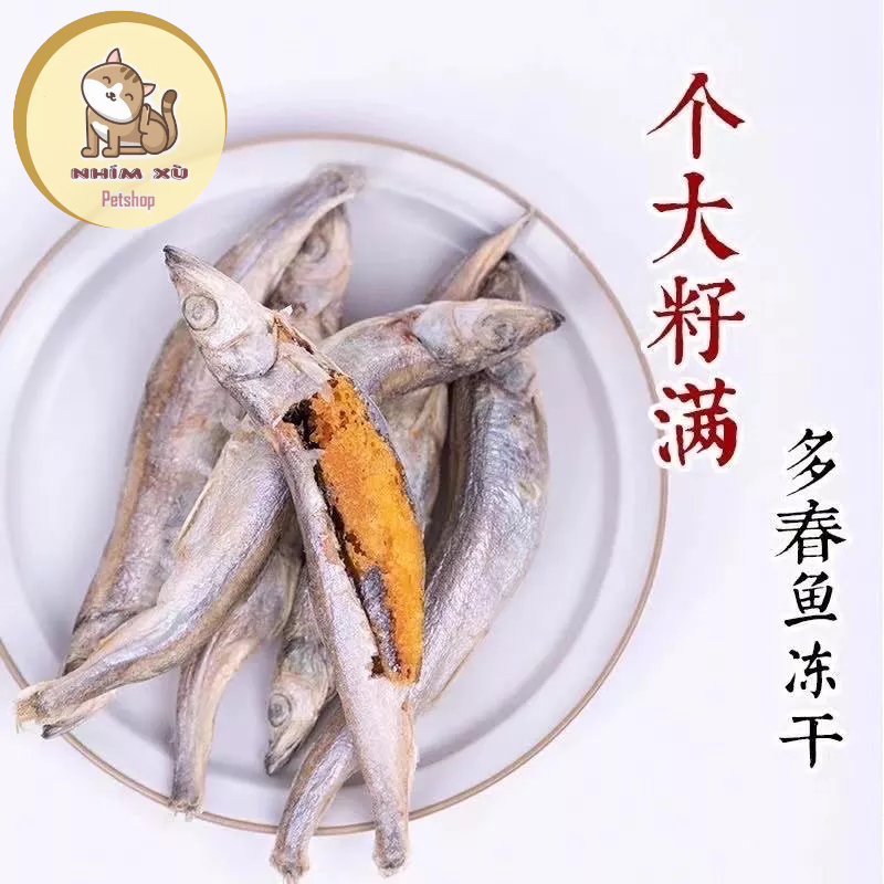 Cá Trứng sấy khô cho chó mèo cao cấp giá dùng thử siêu rẻ NHÍM XÙ PETSHOP