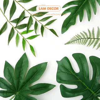 BST Lá nhựa các loại chụp ảnh cực xinh (Album 2)