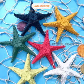 Sao biển loại to cánh dày 13cm nhiều màu