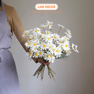 Hoa cúc họa mi trang trí cực đẹp