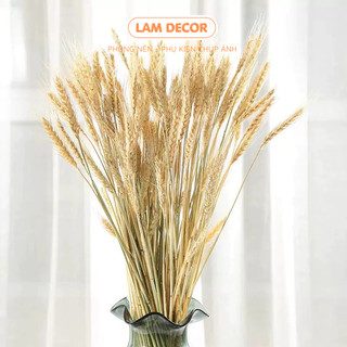 Bó búa mì trang trí làm phụ kiện decor, phụ kiện chụp ảnh