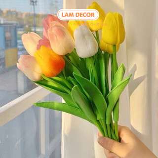 Hoa Tuylip màu sắc cánh mềm, chụp ảnh cực xinh luôn ạ