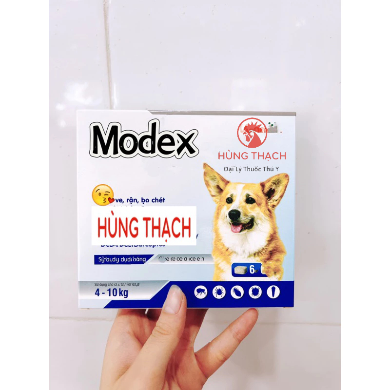 Dinh dưỡng chăm sóc sức khoẻ, vitamin cún