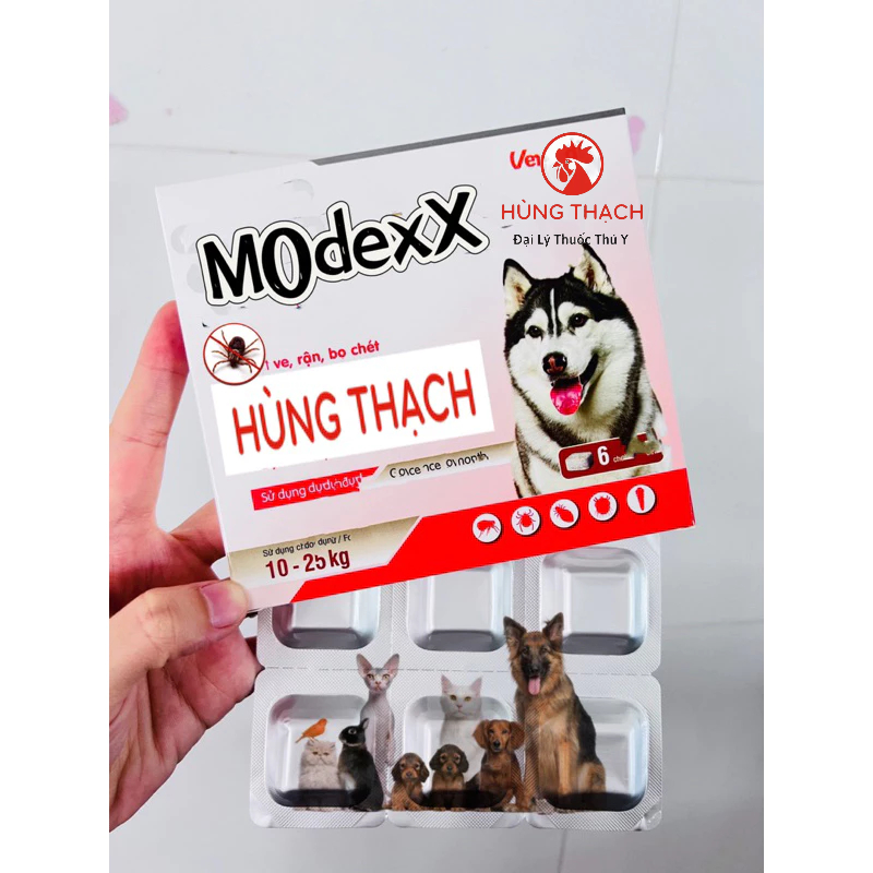 Dinh dưỡng chăm sóc sức khoẻ, vitamin cún