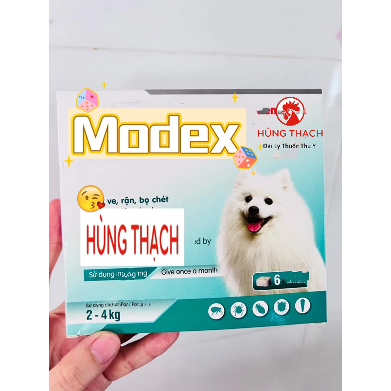 Dinh dưỡng chăm sóc sức khoẻ, vitamin cún