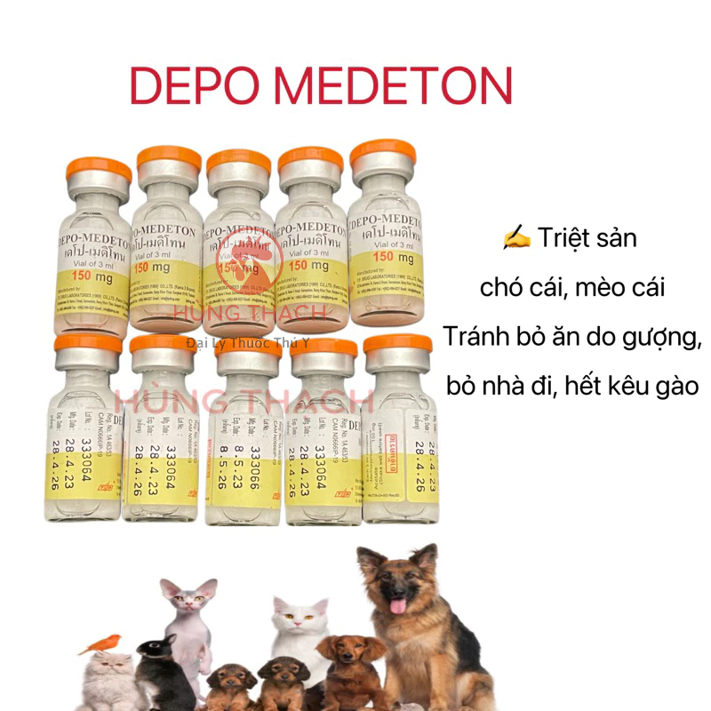 Combo Depo medeton 3ml