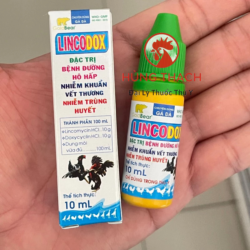 LincoDox 10ml hô hấp, tiêu hoá, áp xe [Nhãn Xanh Cho Gà Đá]