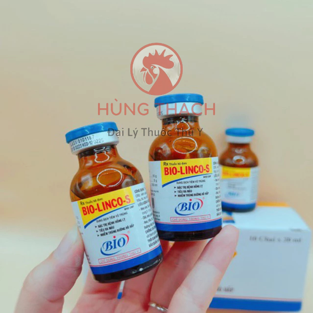 Bio Linco S 100ml,20ml Gà,Chó Mèo và gia súc, hô hấp, tiêu chảy, khò khè, hen khẹc