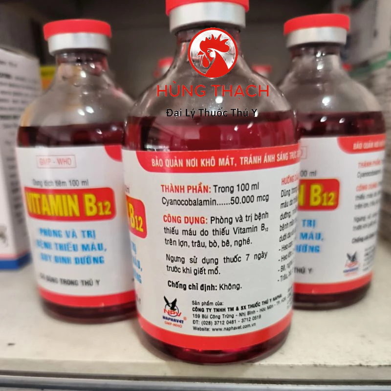 Vitamin B12 NPV  100ml cho gia súc, Gà, vịt chăm sóc vật nuôi Vitamin