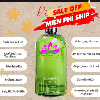 0Dầu gội bưởi Vijully Shampoo Pomelo 350ml