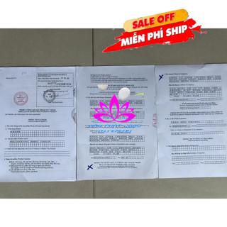 *Chính Hãng* Kem Siêu Trắng MQSKIN