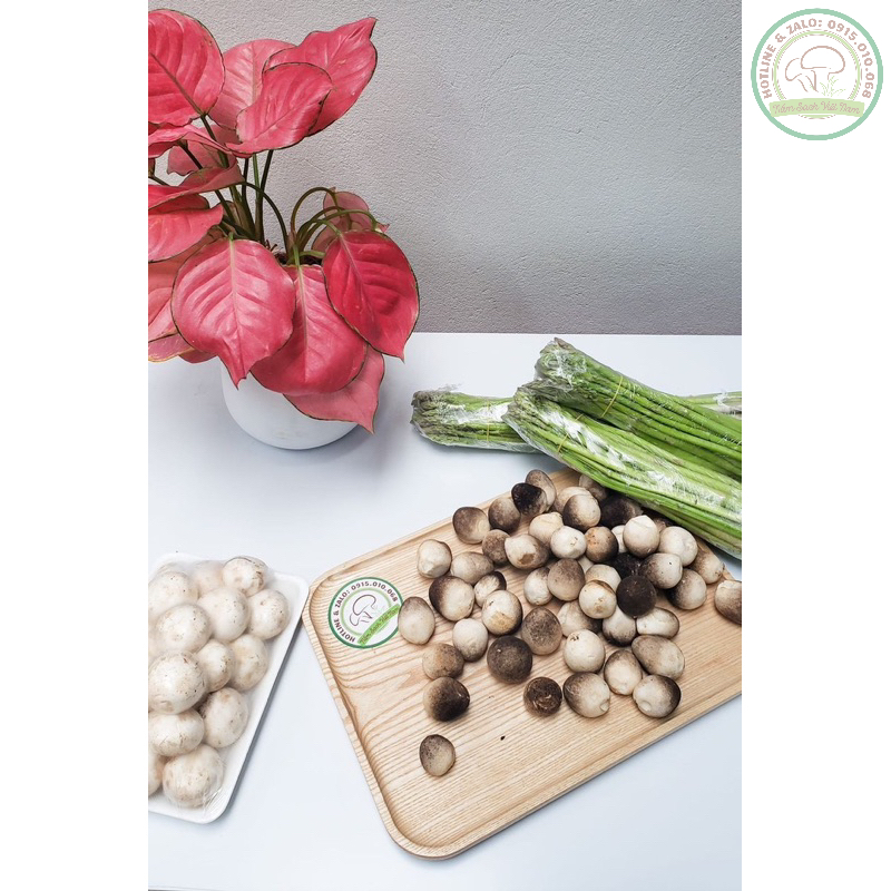 Nấm Ăn Lẩu - Nấm Rơm Việt Nam