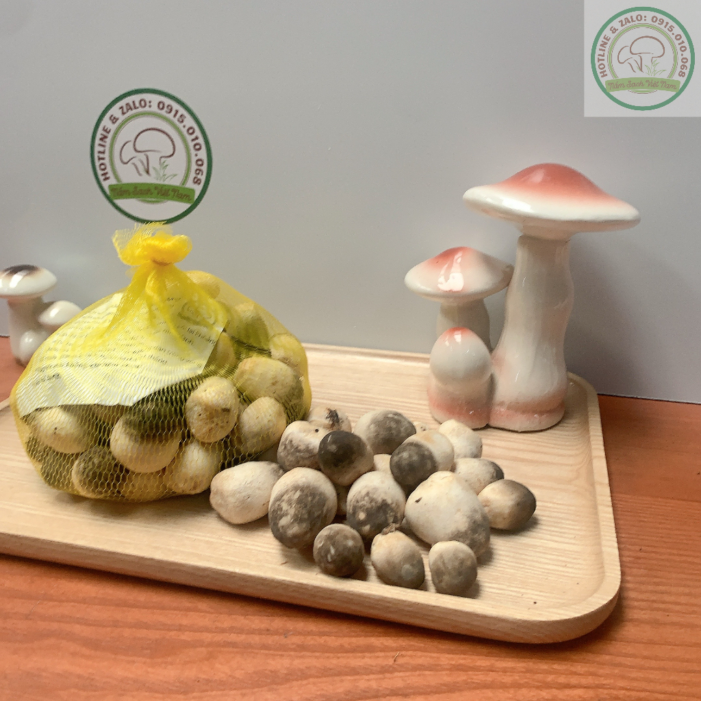 Nấm Ăn Lẩu - Nấm Rơm Việt Nam