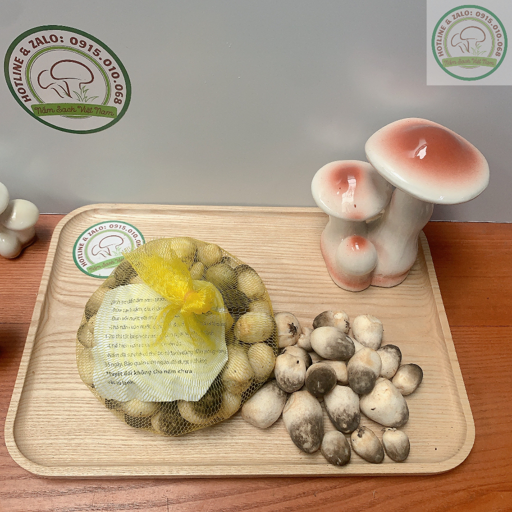 Nấm Ăn Lẩu - Nấm Rơm Việt Nam