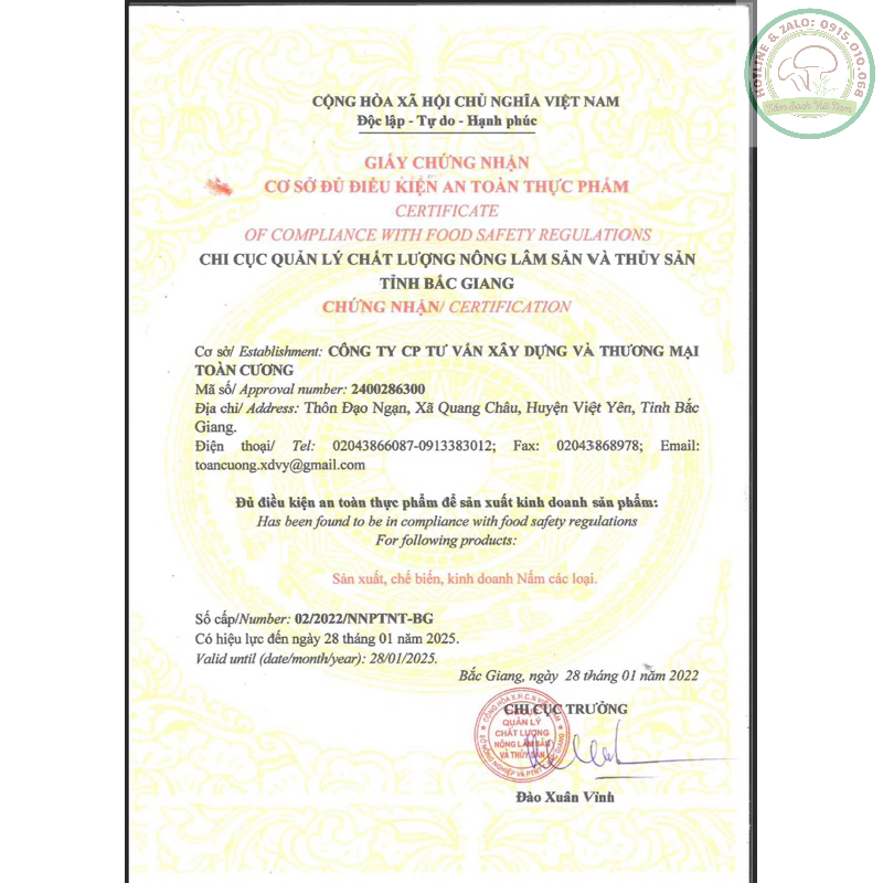 Nấm Ăn Lẩu - Nấm Rơm Việt Nam