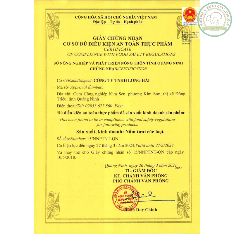 Nấm Ăn Lẩu - Nấm Kim Châm Trắng - nhãn hiệu Kimono