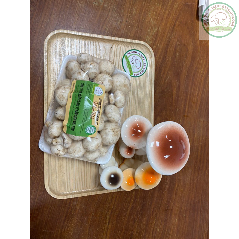 Nấm Ăn Lẩu - Nấm Mỡ Trắng - Nâu