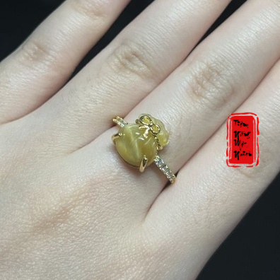 Nhẫn Túi Tiền Đá TA mắt hổ Vàng Bọc Gold10k ☯ Nhẫn Đá Phong Thuỷ ☯ Cải Vận Tình Duyên May Mắn Tài Lộc