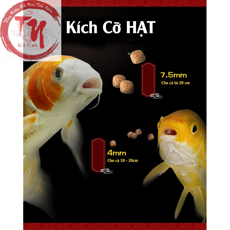 Thức ăn cá koi tăng trọng AQUAMASTER Growth bao 10KG - CÓ TEM CHỐNG HÀNG GIẢ