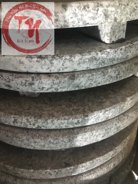 Nấm đá che hút đáy  20cm và 30cm