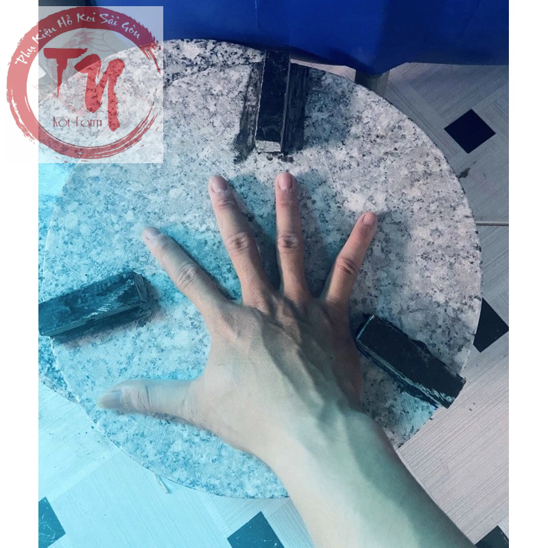 Nấm đá che hút đáy  20cm và 30cm