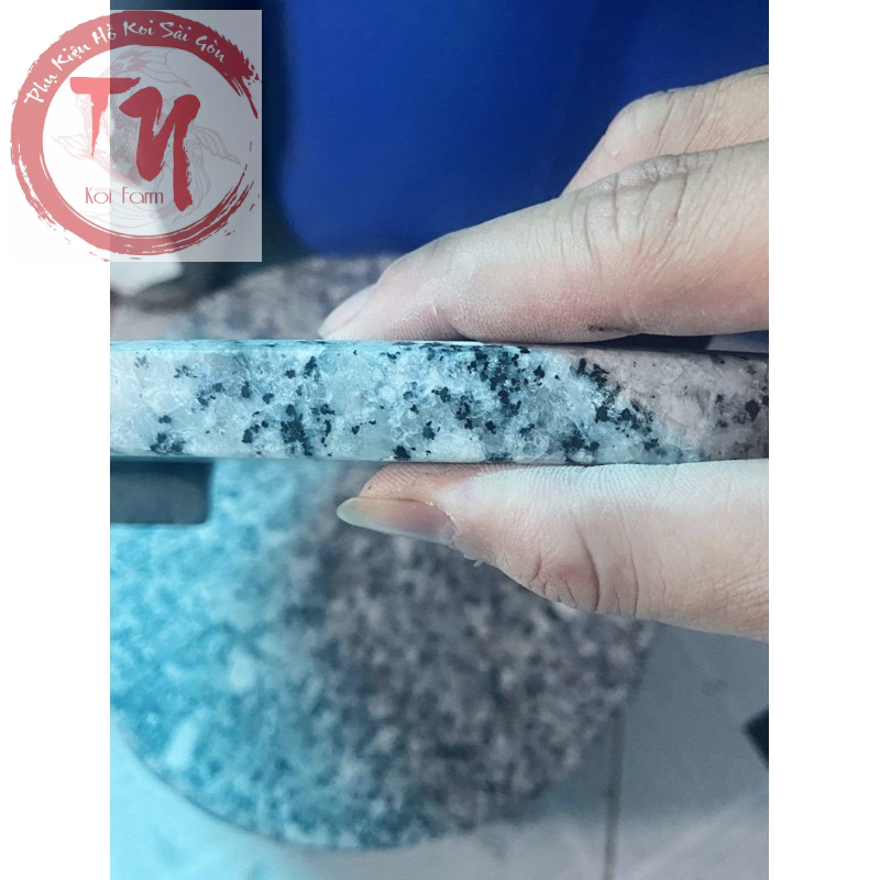 Nấm đá che hút đáy  20cm và 30cm