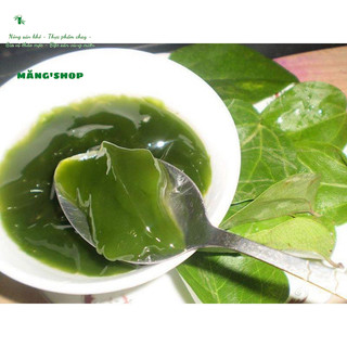 Bột thạch găng Tam Đảo thơm ngon mát lành ( tặng kèm vôi trong)