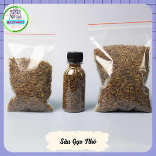 Sâu gạo mini sấy thức ăn hamster