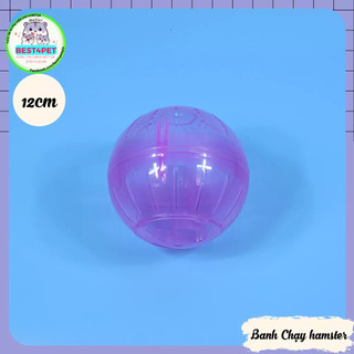 Banh Chạy cho Hamster