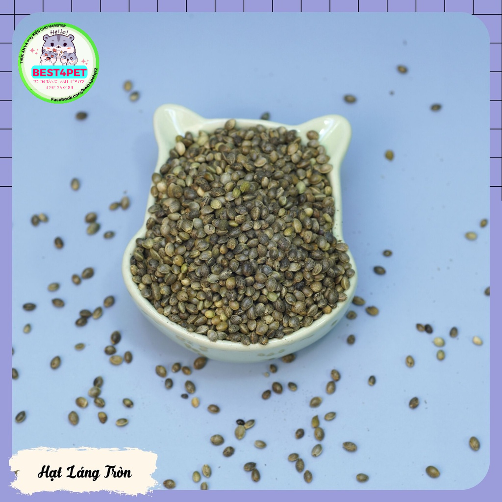 Hạt Láng Tròn thức ăn Hamster, Chim, Vẹt,...