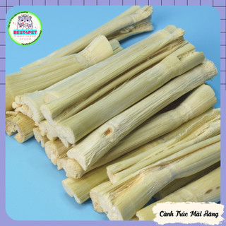 Cành trúc ngọt mài răng hamster - 2 cây