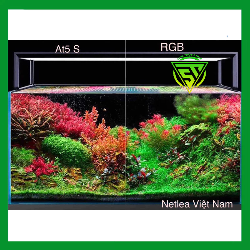 ĐÈN NETLEA  AT5 D PRO -130W