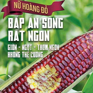 [Hạt Giống Thái Lan] Ngô Nữ Hoàng Đỏ Nova (Gói zin 50 hạt )