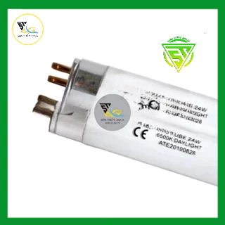 Bóng đèn Odysee thay thế