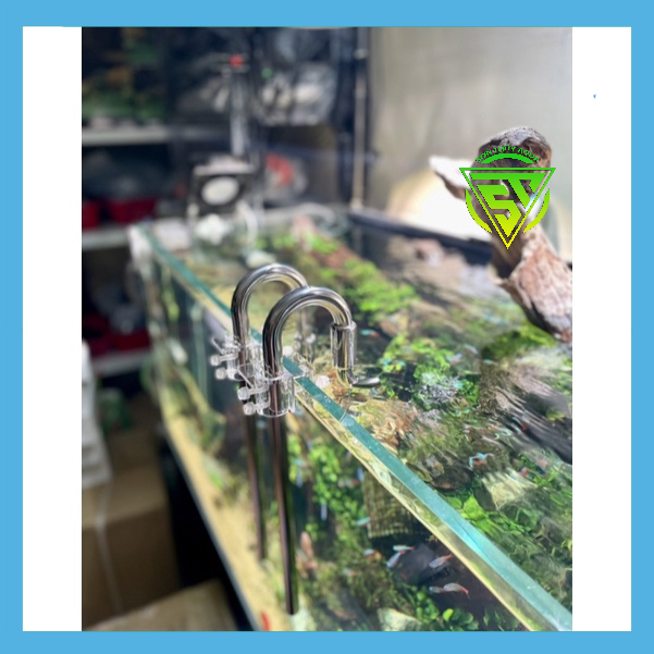 IN OUT INOX 304 dành cho bề Shallow tank siêu đẹp Sỉ & Lẻ