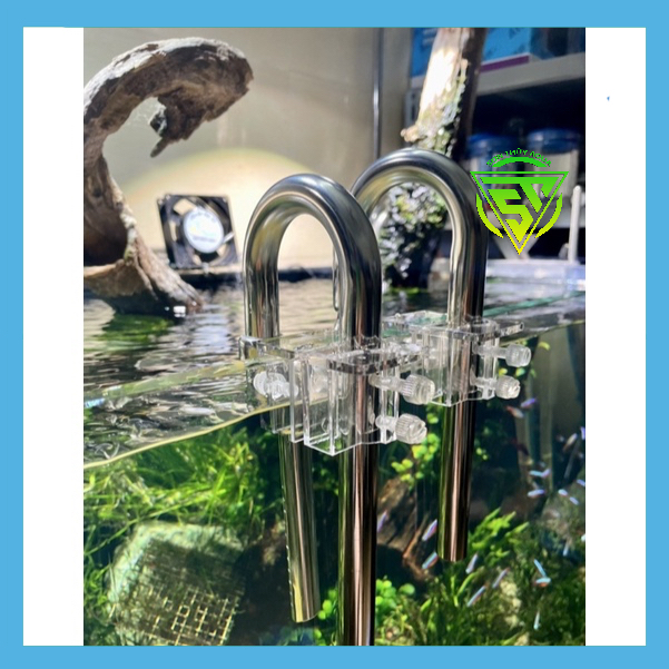 IN OUT INOX 304 dành cho bề Shallow tank siêu đẹp Sỉ & Lẻ