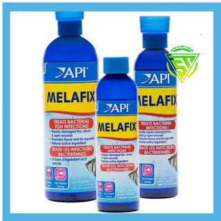 Melafix +pimafix dung dịch kháng khuẩn cao cấp dành cho bể cá cảnh