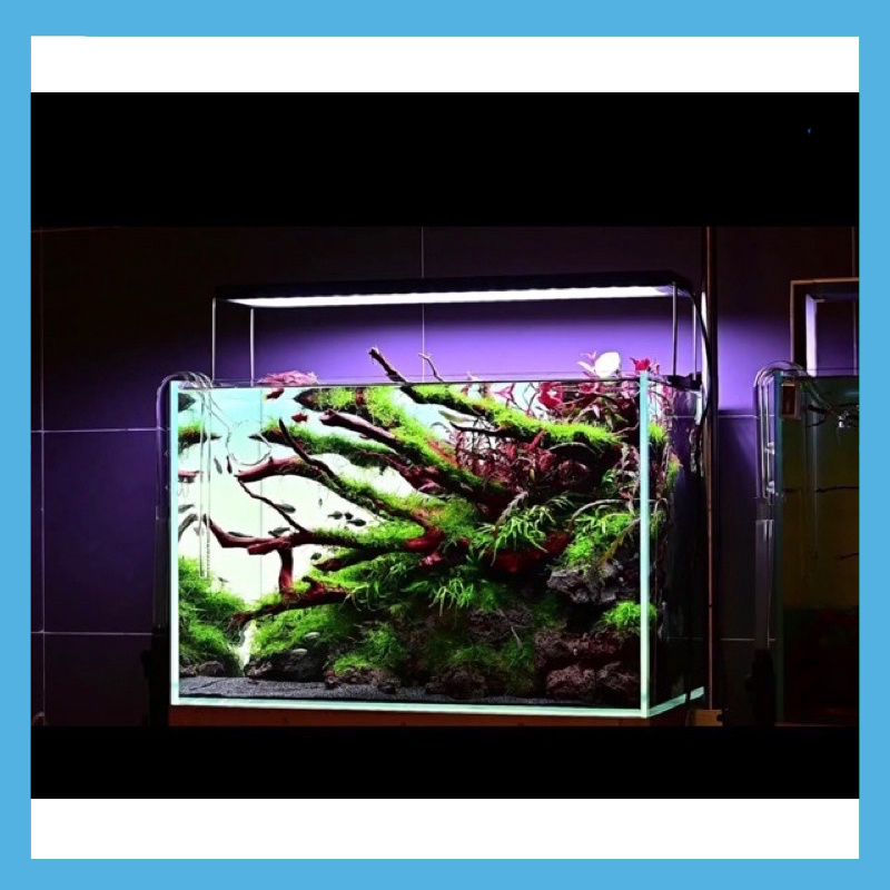 Đèn led thuỷ sinh Cao cấp Chihios WRGB 2 SLim- 60-90-120