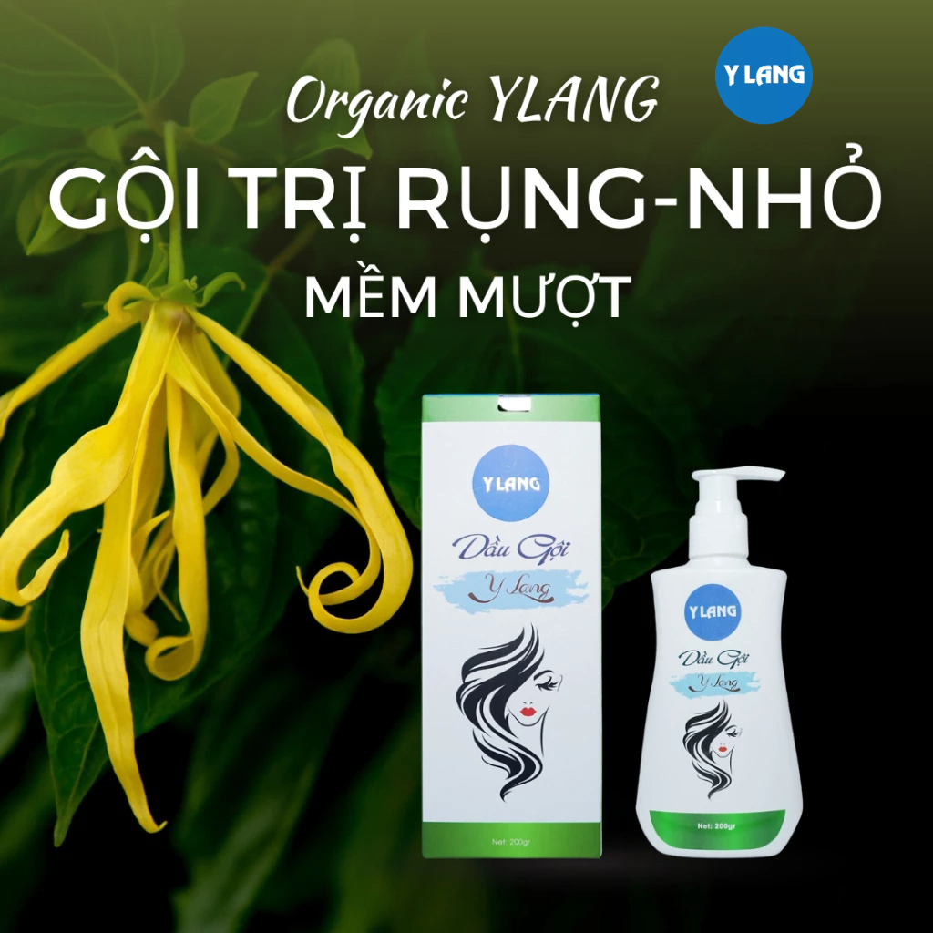 Dầu gội Y Lang giảm rụng tóc kích mọc tóc nhanh dài hiệu quả và mềm mượt sau lần sử dụng đầu tiên 200ml